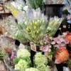 「【はなやホック皆生店】秋の花贈り」