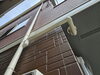 軒天_雨樋_外壁 仕上がり「市川市湊新田 A様邸 外壁塗装完了！」