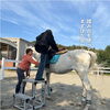 「馬にはどうやって乗るの？ 体験乗馬でよくある「左足から」のヒミツ♪」