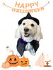 「Dog salon mofu mofu　余市町」