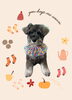 「Dog salon mofu mofu　余市町」