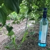みかけによらず（御所芋焼酎、年中）