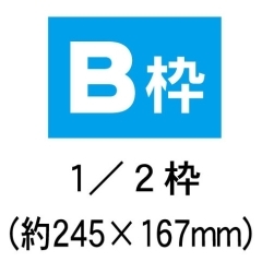 B枠(B4チラシの1／2サイズ)