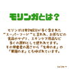 「汗をかいて解毒！デトックスしませんか？【宮崎市 LIHI 脳洗浄 筋膜リリース モリンガ蒸し 美肌育】」