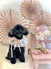モコちゃん「Cherry blossom🌸」