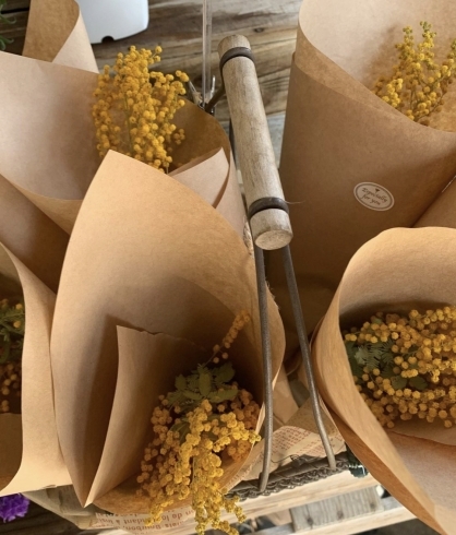 ミモザドライ販売中です 朝霞駅東口の花屋まるよしです 花屋まるよしのニュース まいぷれ 朝霞 志木 新座 和光 ミモザドライ販売中です 朝霞駅東口の花屋まるよしです 花屋まるよしのニュース まいぷれ 朝霞 志木 新座 和光