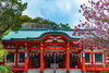 淡島神社「パワースポット特集！」