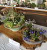 「入笠やまの花友の会 秋の展示会 開催のお知らせ🍂」