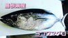 「○本日のお刺身○【島根県産】天然タイ、ヨコワマグロ　○本日はお惣菜もあります！」