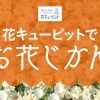 花キューピットでお花じかん
