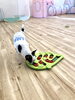 豆太くんノーズワーク中〜「ましゅまろ幼稚園　^ - ^」