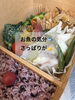 お魚の気分🐟「8/8(土) 本日のメニューと来週以降のご案内🌿」