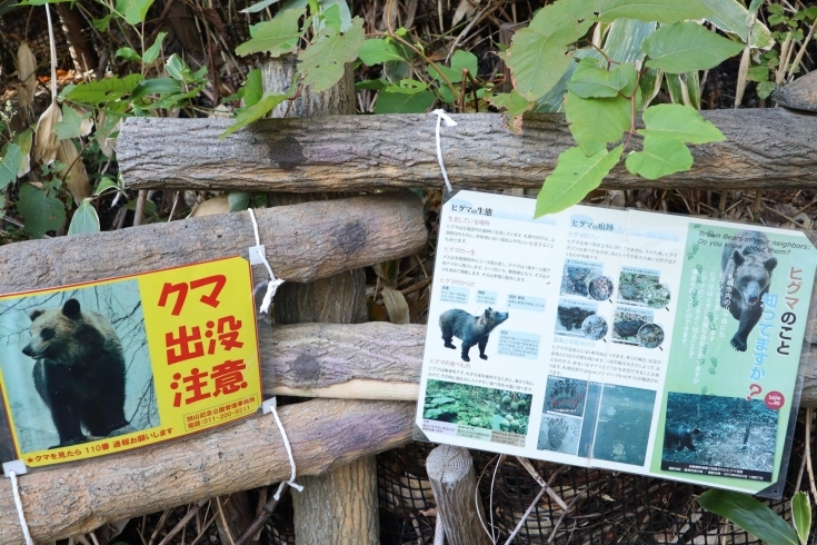 写真５、「クマ出没注意」のポスターなど「紅葉狩り。旭山記念公園に行ってきました！」