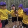 「たけのこ掘り」