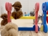 仁姜くんジャンプ😃「ましゅまろ幼稚園🐾」