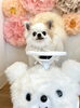 のあちゃん「ブッブ〜🚗」