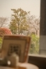 「桜を眺めながら。一番人気タコライスでランチ時間を」