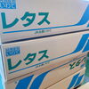 「「レタス」の出荷も始まってるよー 岩手県産　JAいわて花巻　「レタス」」
