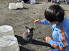 ブロッコリー食べてくれるかな？「【１日動物園】」