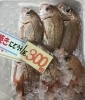 「魚魚市場鮮魚コーナーおすすめは「のどぐろ」「殻付き牡蠣とサザエのセット」です♪」