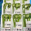 「一足早く春の味覚が入荷しました！農産物直売所」