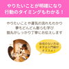 「自分を知り自分がどんどん好きになる算命学の学び（=^ェ^=) 整体・オイル・リーディング・占い・顔そり・氣功」