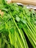 「「せり」の入荷も始まりましたよー♪♪ 宮城県産「仙台せり」です。」