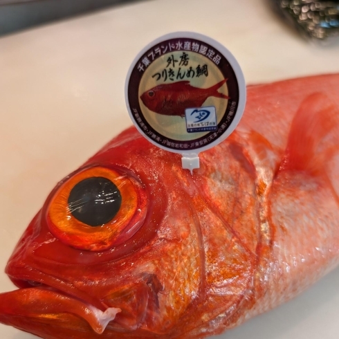千葉の釣り物、金目鯛🐟「季節の日本酒」