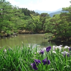 四季折々の花たちに癒される！　浄楽園