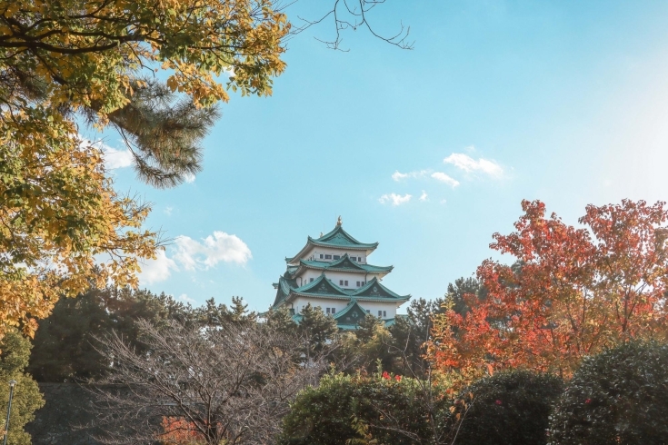 名古屋城と紅葉（2021年撮影）「秋のおでかけ特集を公開中！【名古屋市中区の地域密着情報はまいぷれ】」