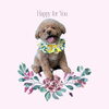 「Dog salon mofu mofu　余市町」