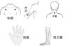 この季節に有効な"ツボ"「【宮司の健康歳時記11月号】寒暖差に負けない！」