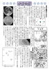 「ゴールデンウィークのイベント【パオだより2026年5月号】」