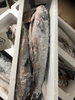 「【塩引鮭、塩引鮭粗ほぐし、塩引鮭コロッケ、鮭の焼漬、鮭製品のご用命は新潟県村上市、総合食品さいとう】」