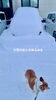 「Saturday, 1st February 2025.」