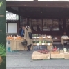 佛光寺さんの野菜市場通信