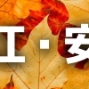 今どう！？松江・安来の紅葉見頃速報！