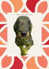 「Dog salon mofu mofu　余市町」