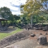 高江中央公園