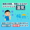「湿気と睡眠【岩手県で布団・枕を購入するなら、やよいリビング】」