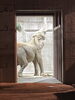 媛「#90.今年の夜の動物園」