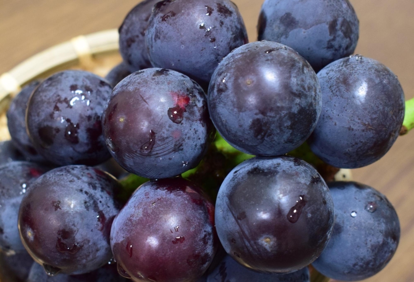 長谷川ぶどう園 みずみずしい大粒果肉 藤稔 ふじみのり ふるさと納税で日本を元気に 笠間市 まいぷれ 笠間市 長谷川ぶどう園 みずみずしい大粒果肉 藤稔 ふじみのり ふるさと納税で日本を元気に 笠間市 まいぷれ 笠間市
