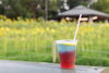爽やかなドリンクとひまわり畑の風景「葛西臨海公園のひまわり畑が見頃に！夕方ライトアップも開催中」