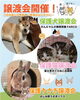 温かな心と新しい家族を繋ぐ場所「3月28日開催「Animal Festa わんにゃんふれあい広場」のお知らせ」
