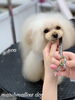 「冬のオプションキャンペーン　（＾Ｏ＾）」