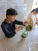 枝豆の袋詰め！新鮮食材と触れ合おう「枝豆が最盛期を迎えています🎐🫛」