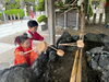 「函館で七五三の写真撮影なら貸衣裳だてや｜衣裳選びから記念撮影まで」