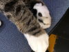 「クルミの寝顔満載」