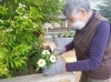 利用者さんが植えてくださってま~す。🌼🌹🌷「お稲荷さんは丘の上で、1.2位を争う人気メニューで~す🤗お代わり自由です❣️ヾ(≧▽≦*)o キャッ😘」