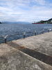 「親海公園　海釣り護岸柵（海側）の取替工事について🚧」